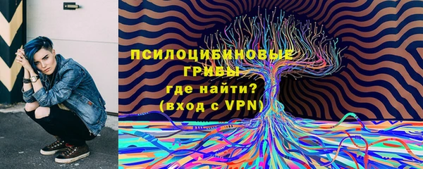 mdpv Армянск