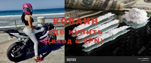 стафф Аркадак