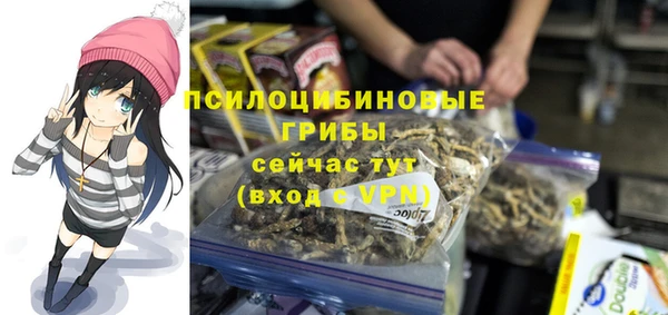 стафф Аркадак