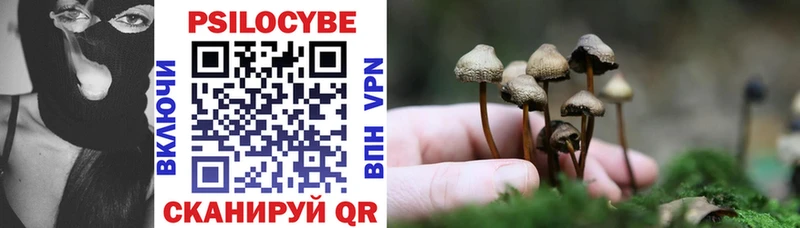Галлюциногенные грибы Psilocybe  Хвалынск 